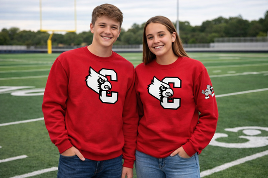 Cardinals Block C crewneck sweatshirt